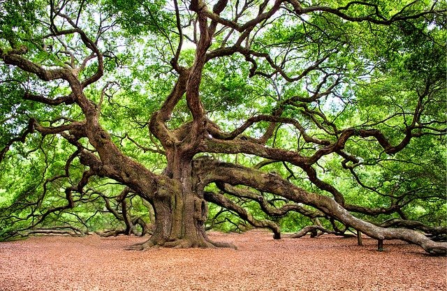 Chêne et terre, ressources naturelles