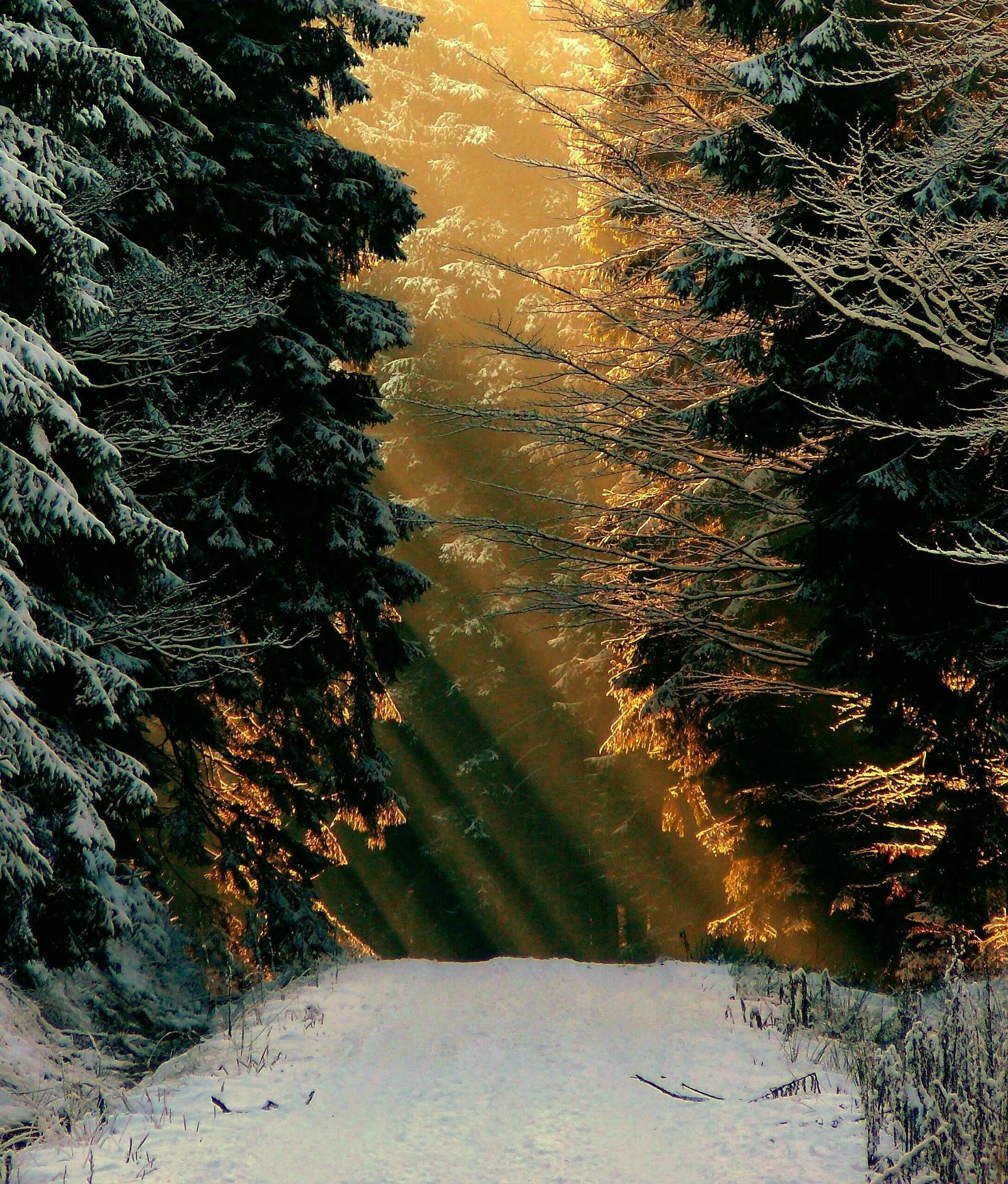 Paysage hivernal et dépression saisonnière