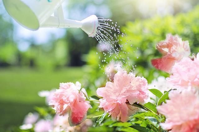 Hydratation, essentielle pour la détox