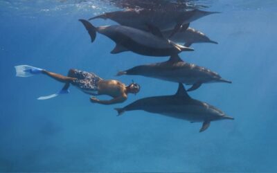 Naïa Journey : l&rsquo;agence de voyage éthique pour vos séjours sportifs en groupe