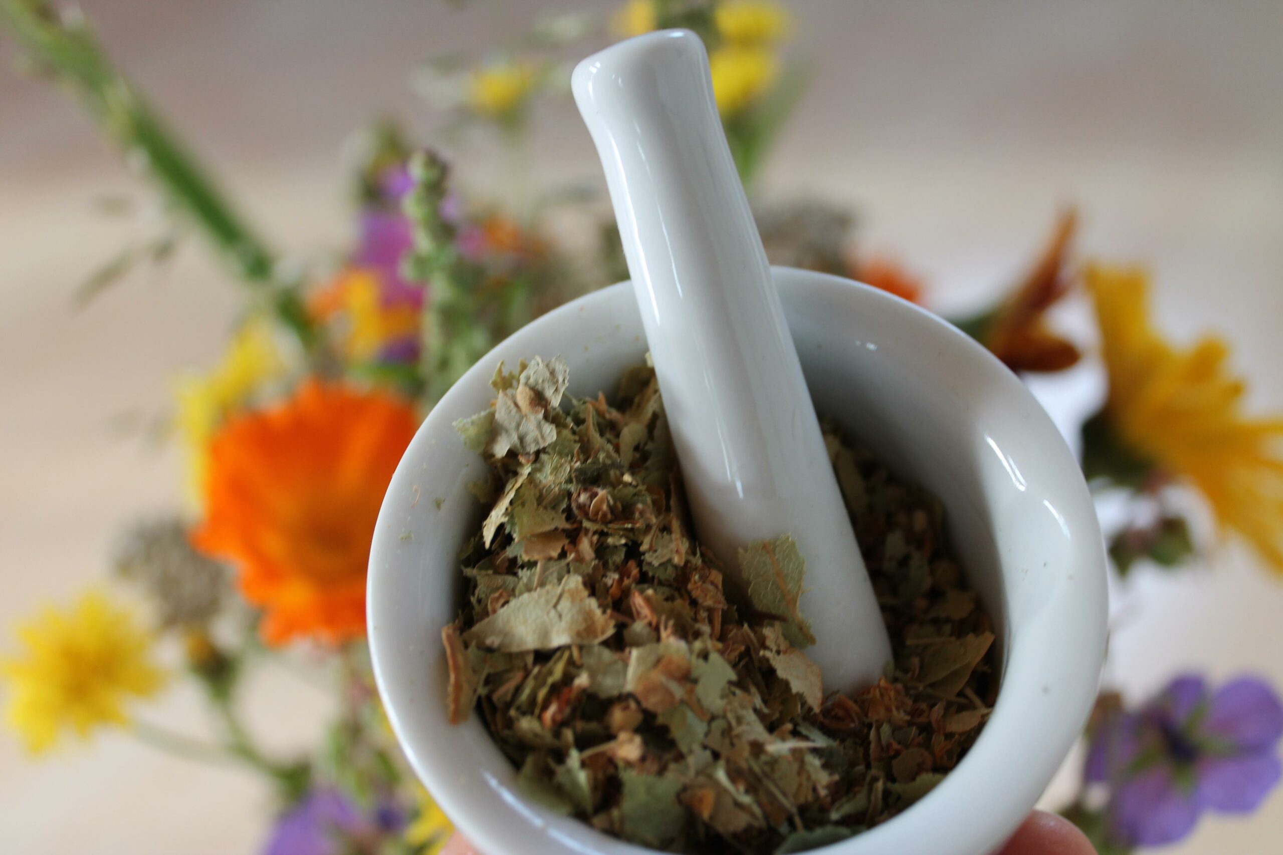 Plantes médicinales et médecine naturelle
